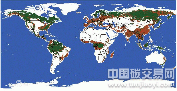 “解讀全球各國(guó)森林覆蓋率”
