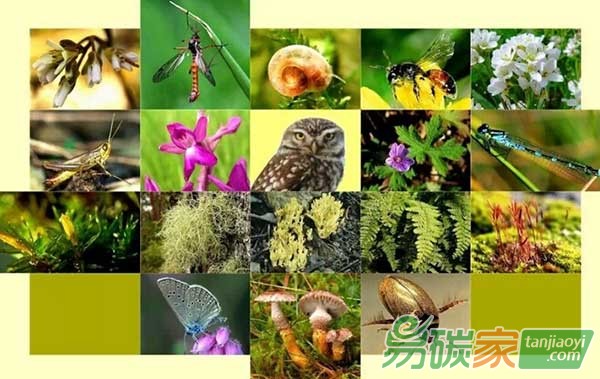 中國生態(tài)系統(tǒng)和生物多樣性經(jīng)濟(jì)學(xué)(TEEB)行動(dòng)方案國際研討會(huì)