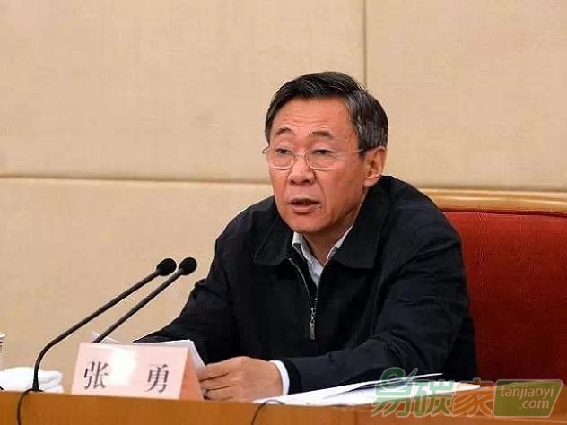 國(guó)家發(fā)展改革委黨組成員、副主任張勇