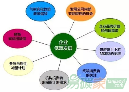 “什么是碳戰(zhàn)略？”