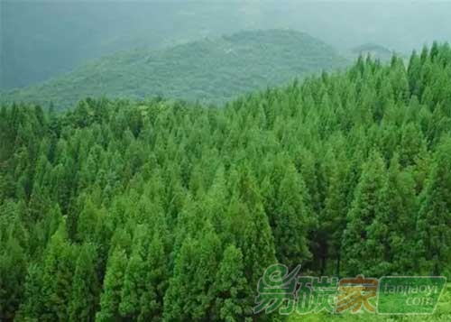 “北京首個(gè)本地林業(yè)碳匯項(xiàng)目實(shí)現(xiàn)交易”