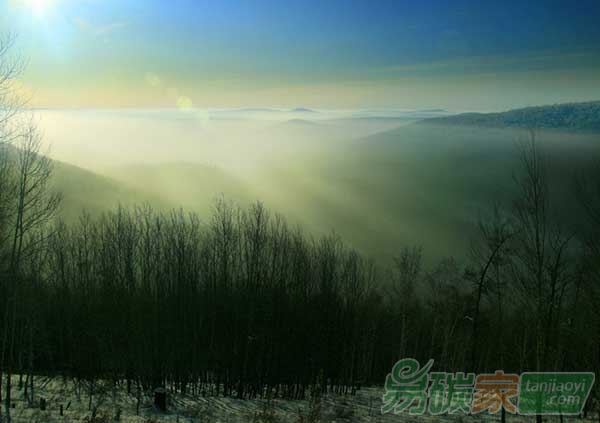 大興安嶺地區(qū)積極開展碳匯研究和碳匯項目建設推進工作