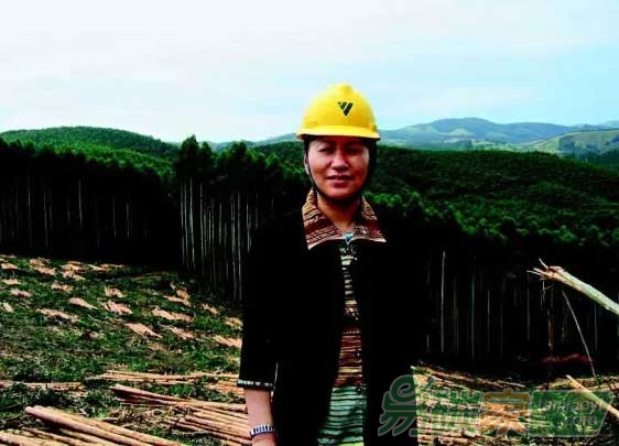 執(zhí)著為碳匯