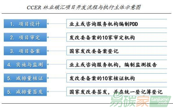 林業(yè)碳匯開發(fā)流程全解