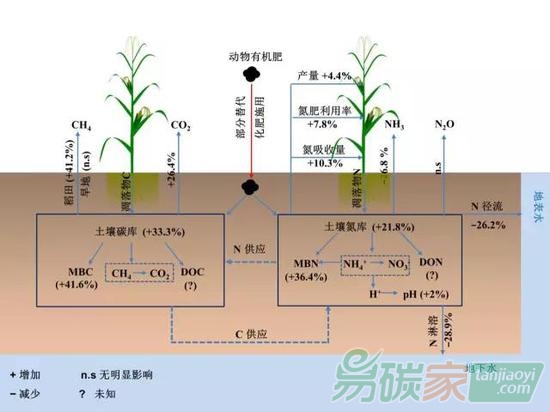 如何讓“便便”更有用？或可降低溫室氣體排放