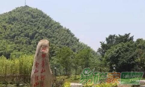 促進我國CCER林業(yè)碳匯交易的建議