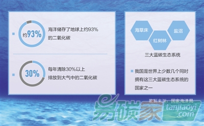 你知道“藍(lán)碳”是什么嗎？有多厲害？