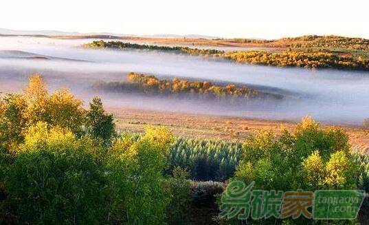 碳匯市場(chǎng)與碳排放交易市場(chǎng)銜接中的問題