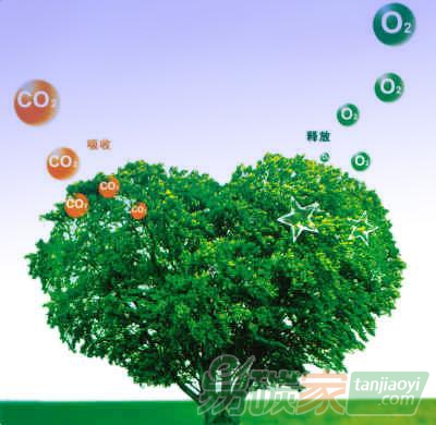 四川啟動森林碳匯扶貧示范工程開啟生態(tài)產(chǎn)業(yè)扶貧新格局