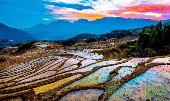 人民日?qǐng)?bào)：靠山吃山，做足綠色大文章
