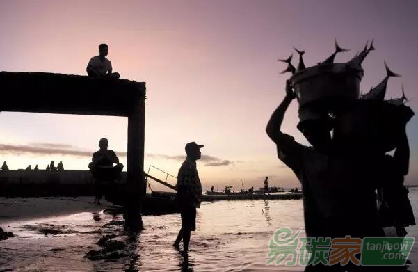 比特幣背后的區(qū)塊鏈技術(shù)，會是建立環(huán)境保護(hù)信任的關(guān)鍵嗎？
