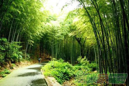 專家學(xué)者撰文談中國經(jīng)濟的低碳轉(zhuǎn)型之路