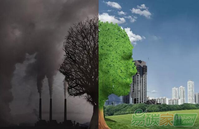 國家林業(yè)和草原局關(guān)于促進(jìn)林草產(chǎn)業(yè)高質(zhì)量發(fā)展的指導(dǎo)意見【林改發(fā)〔2019〕14號】