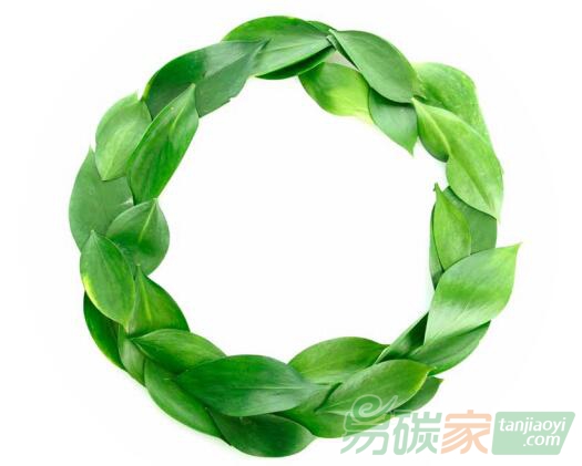 成都市人民政府辦公廳關(guān)于印發(fā)成都市鼓勵和支持開展出口產(chǎn)品低碳認證若干政策措施的通知【成辦函〔2019〕21號】