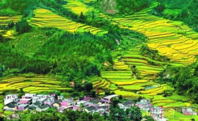 推動“一帶一路”ESG投資主流化發(fā)展