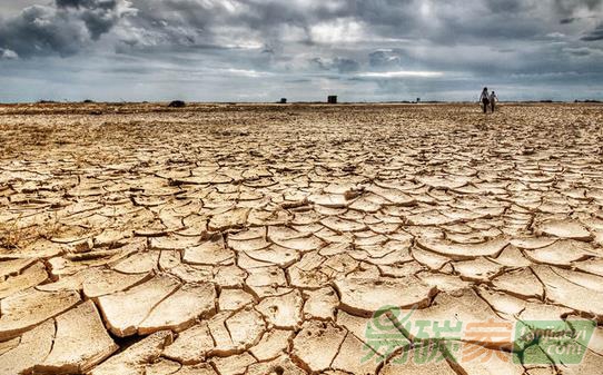 曹明德：完善我國氣候變化適應(yīng)性立法的思考