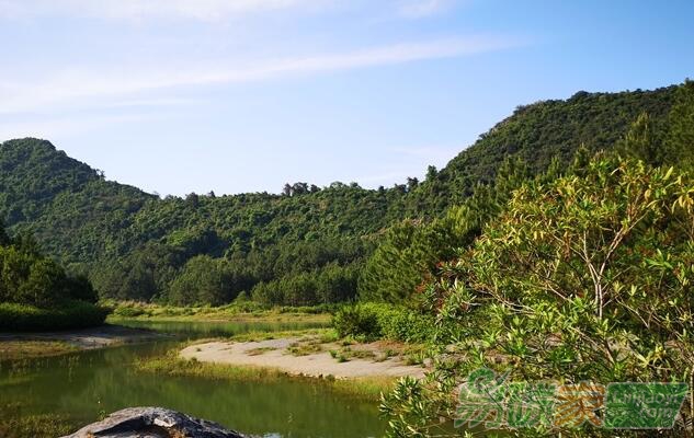關于舉辦2020年第一期“林業(yè)碳匯管理”